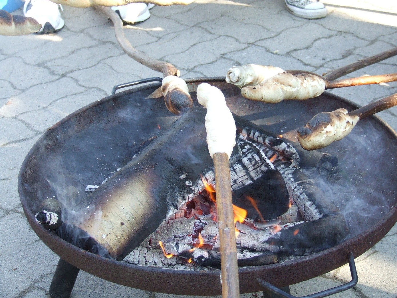 bild1